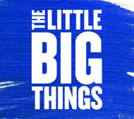 Blue brush strokes with 'The little Big Things' in white text in front