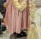 Rapunzel 15 ft braid wig