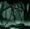 Into The Woods Backdrop Backdrop Rental