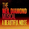 A Beautiful Noise